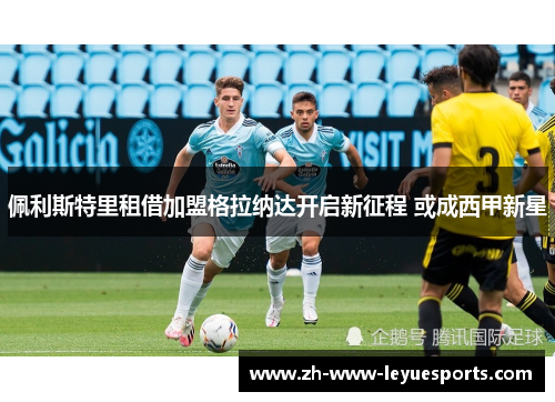 佩利斯特里租借加盟格拉纳达开启新征程 或成西甲新星