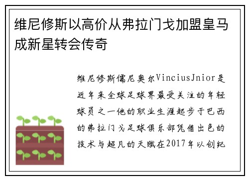 维尼修斯以高价从弗拉门戈加盟皇马成新星转会传奇 维尼修斯以高价从弗拉门戈加盟皇马成新星转会传奇